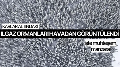 Karlar altındaki Ilgaz ormanları havadan görüntülendi