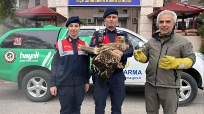 Manisa jandarma Kızıl Şahin’e sahip çıktı