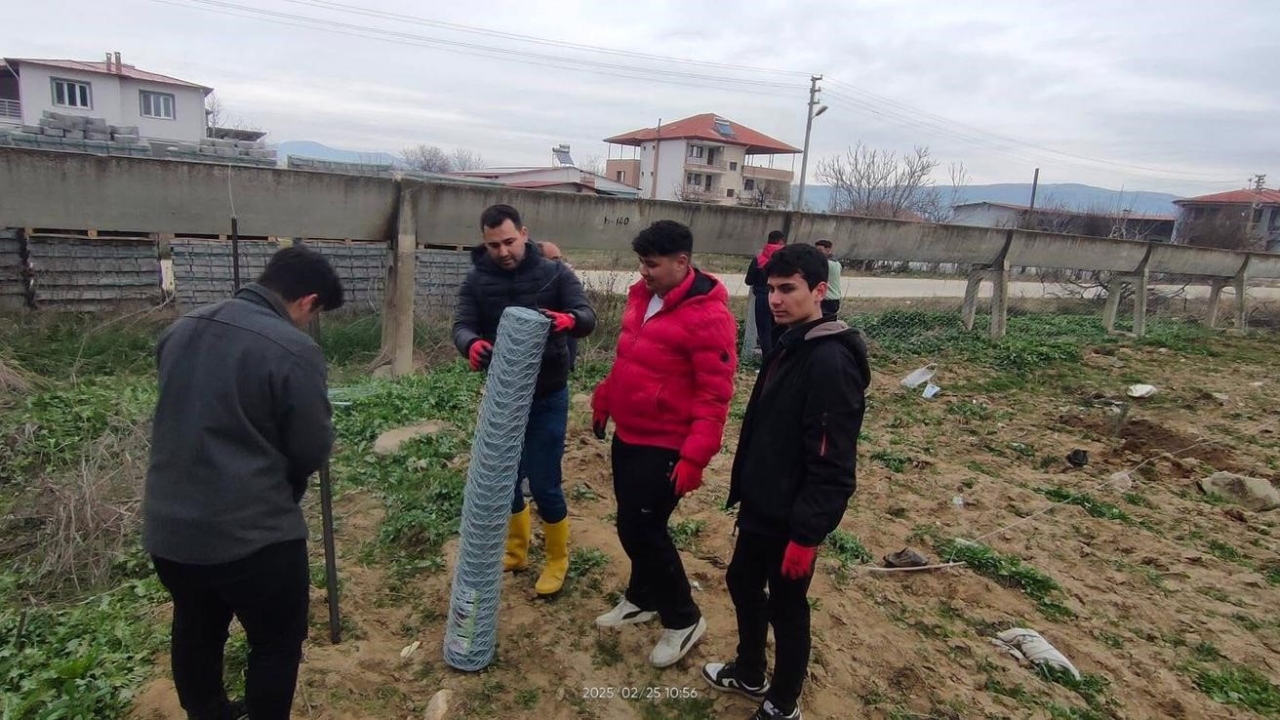 Tarım öğrencileri 200 zeytin fidanı dikti