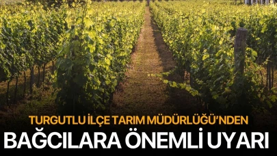 Turgutlu İlçe Tarım Müdürlüğü’nden Bağcılara Önemli Uyarı