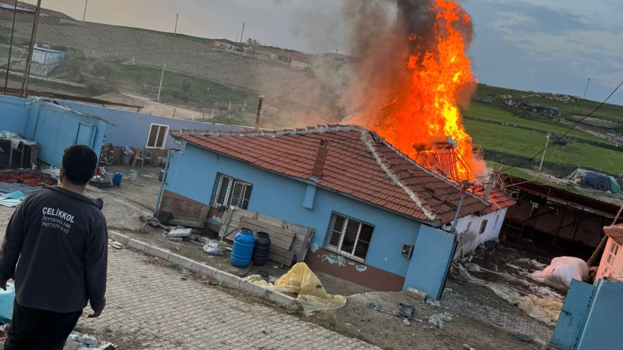 Sinirli’de Çıkan Yangında Bitişik İki Ev Zarar Gördü