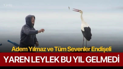 Yaren Leylek Bu Yıl Gelmedi, Adem Yılmaz ve Tüm Sevenler Endişeli