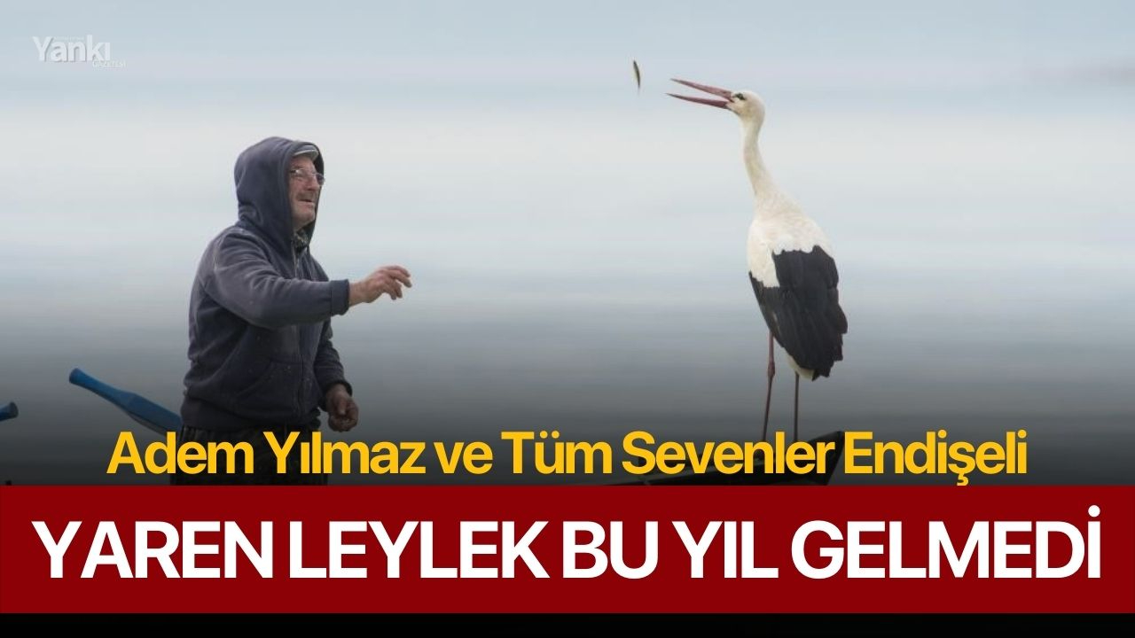 Yaren Leylek Bu Yıl Gelmedi, Adem Yılmaz ve Tüm Sevenler Endişeli