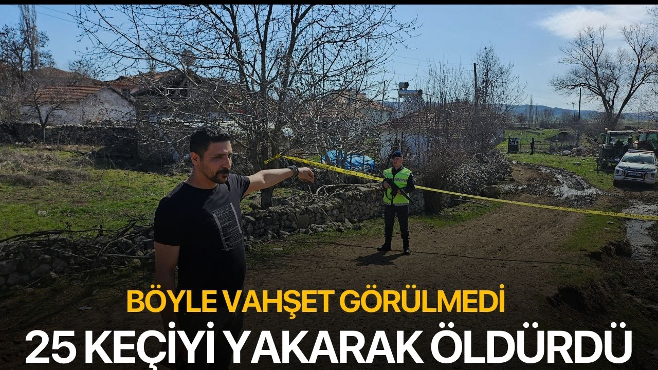 Böyle vahşet görülmedi 25 keçiyi yakarak öldürdü