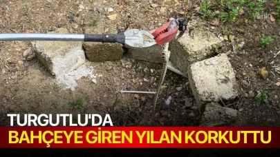 Turgutlu'da Bahçeye Giren Yılan Korkuttu