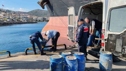 İzmir’de yasadışı yollarla avlanan deniz patlıcanları denize salındı