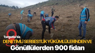 Turgutlu’da denetimli serbestlik yükümlülerinden ve gönüllülerden 900 fidan