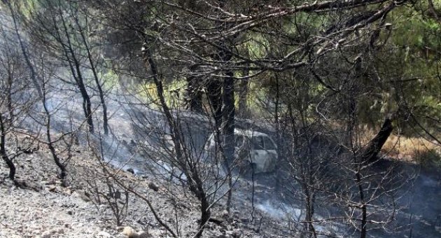 Alev alan otomobil ormanı da yaktı