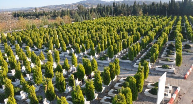 Alsan Ailesinin acı günü