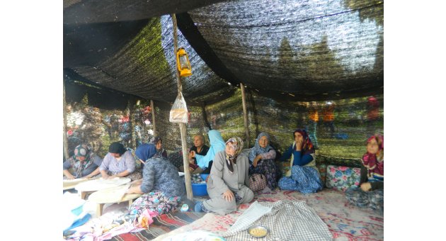 Yörük Şenliği ilgi odağı oldu